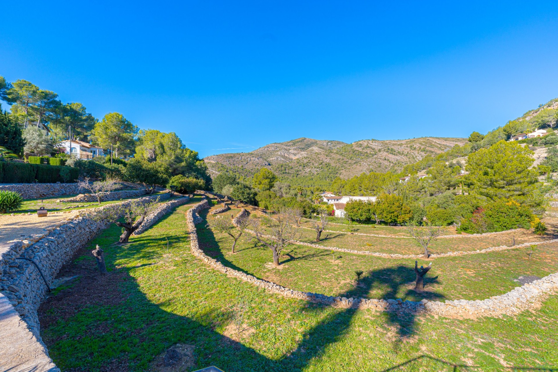 Rynek Wtórny - Finca -
Lliber