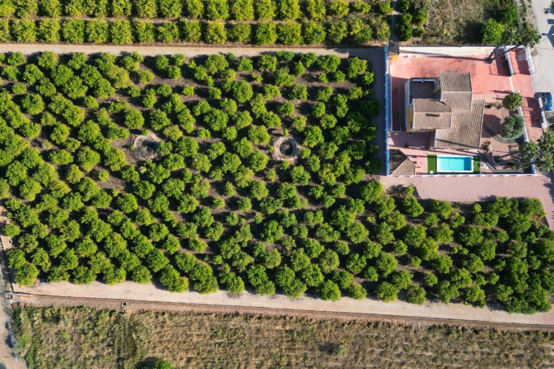 Rynek Wtórny - Finca -
Orihuela