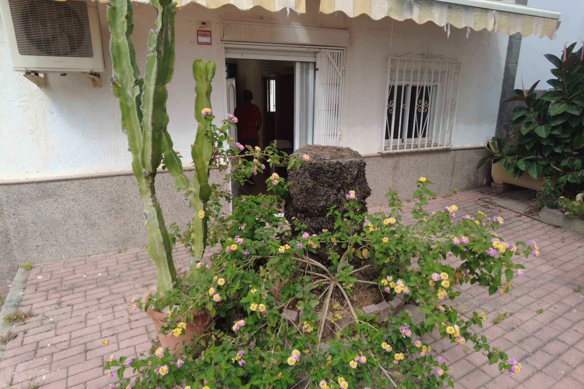 Rynek Wtórny -  -
Jávea / Xàbia - Puerto