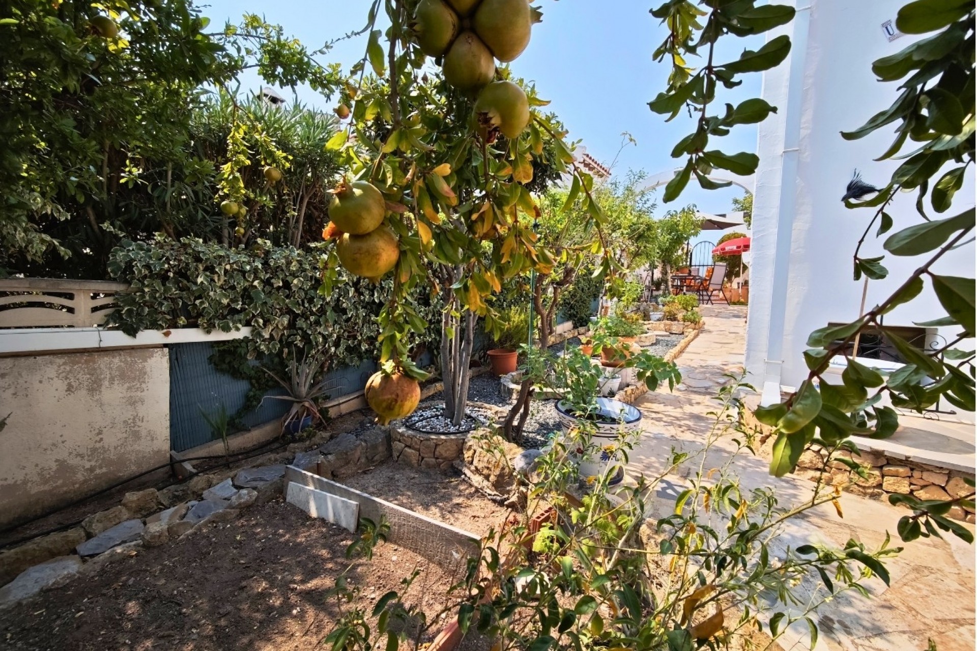 Rynek Wtórny - Kamienica -
La Nucía