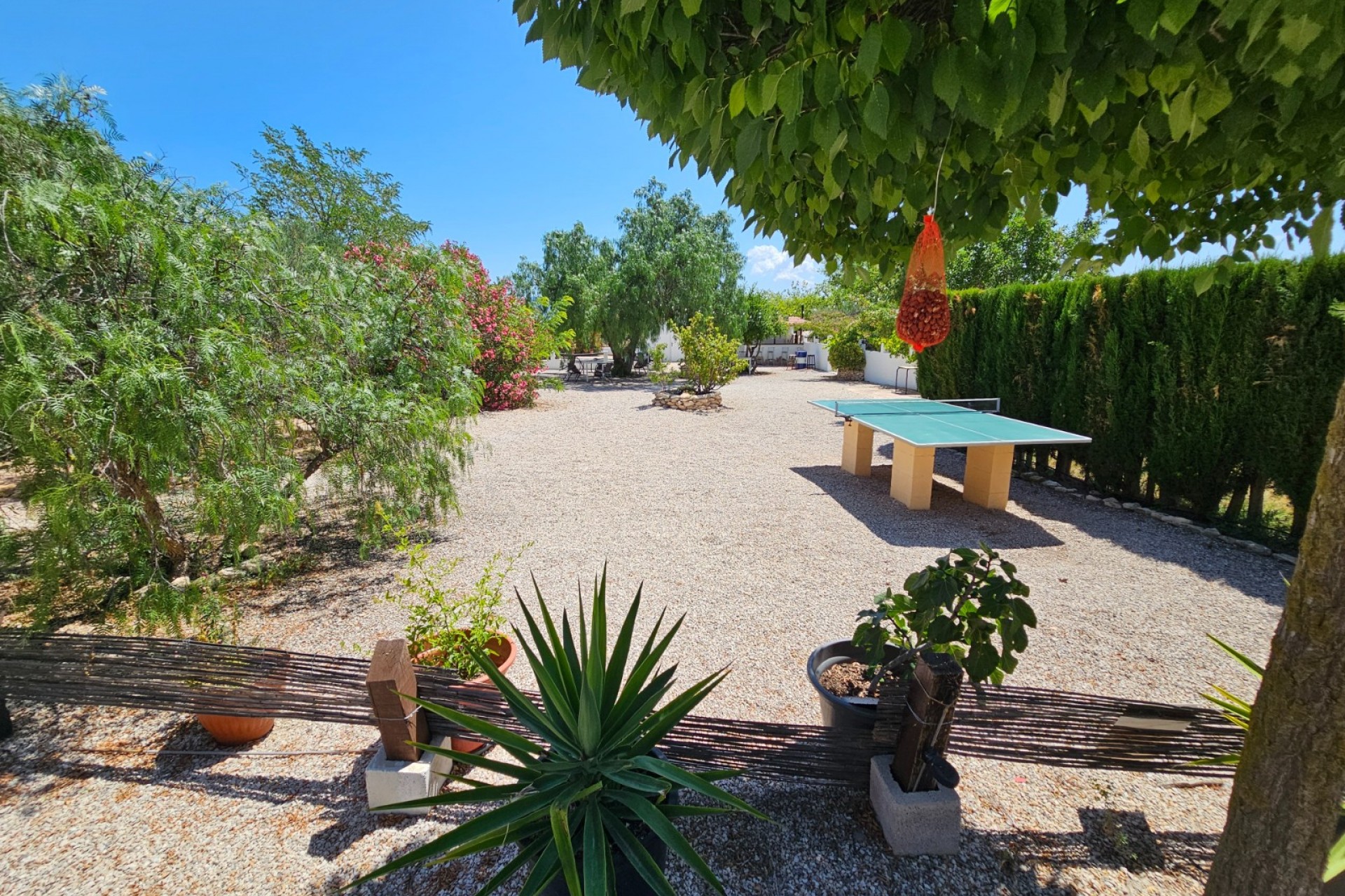 Rynek Wtórny - Komercyjne -
Sax