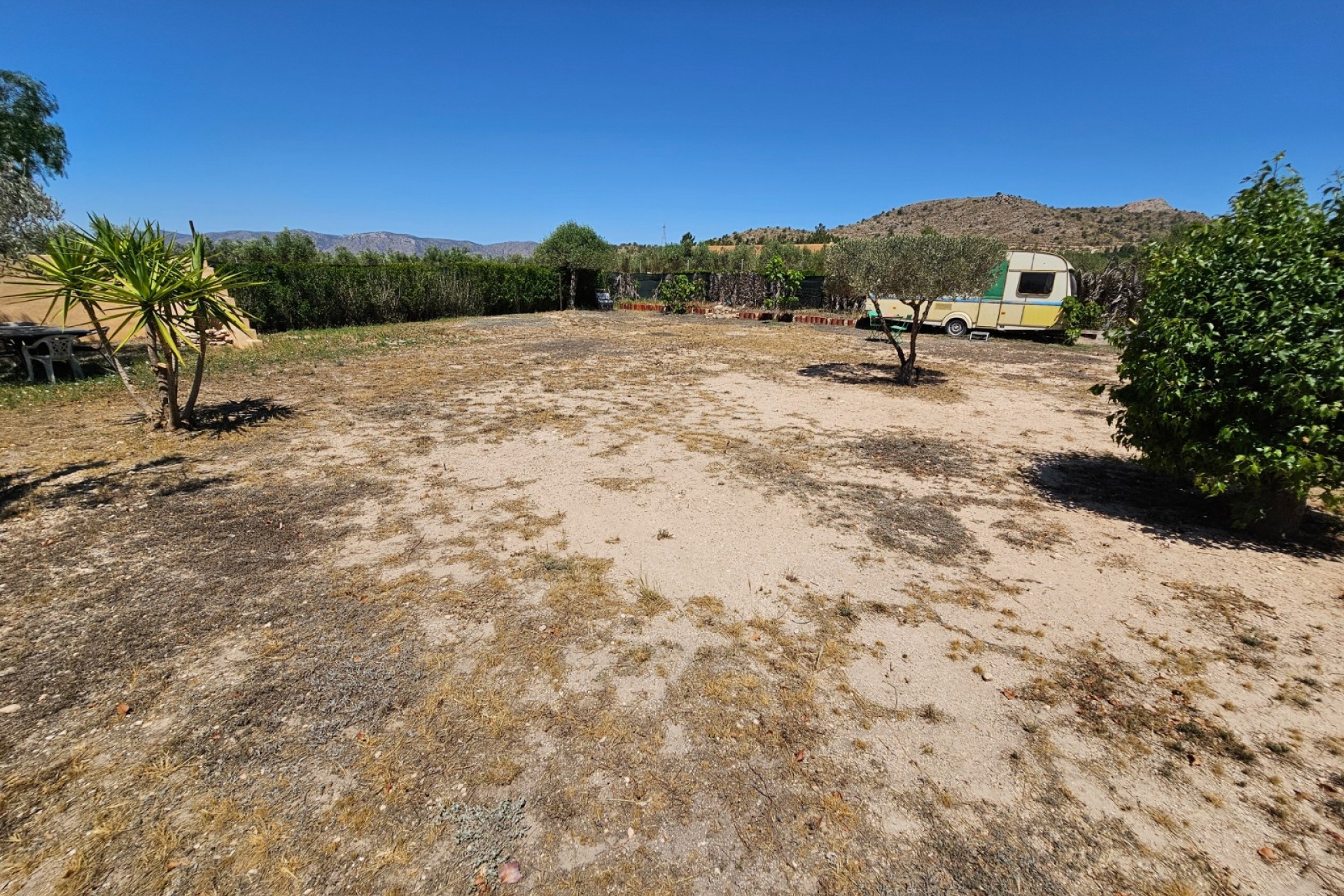 Rynek Wtórny - Komercyjne -
Sax