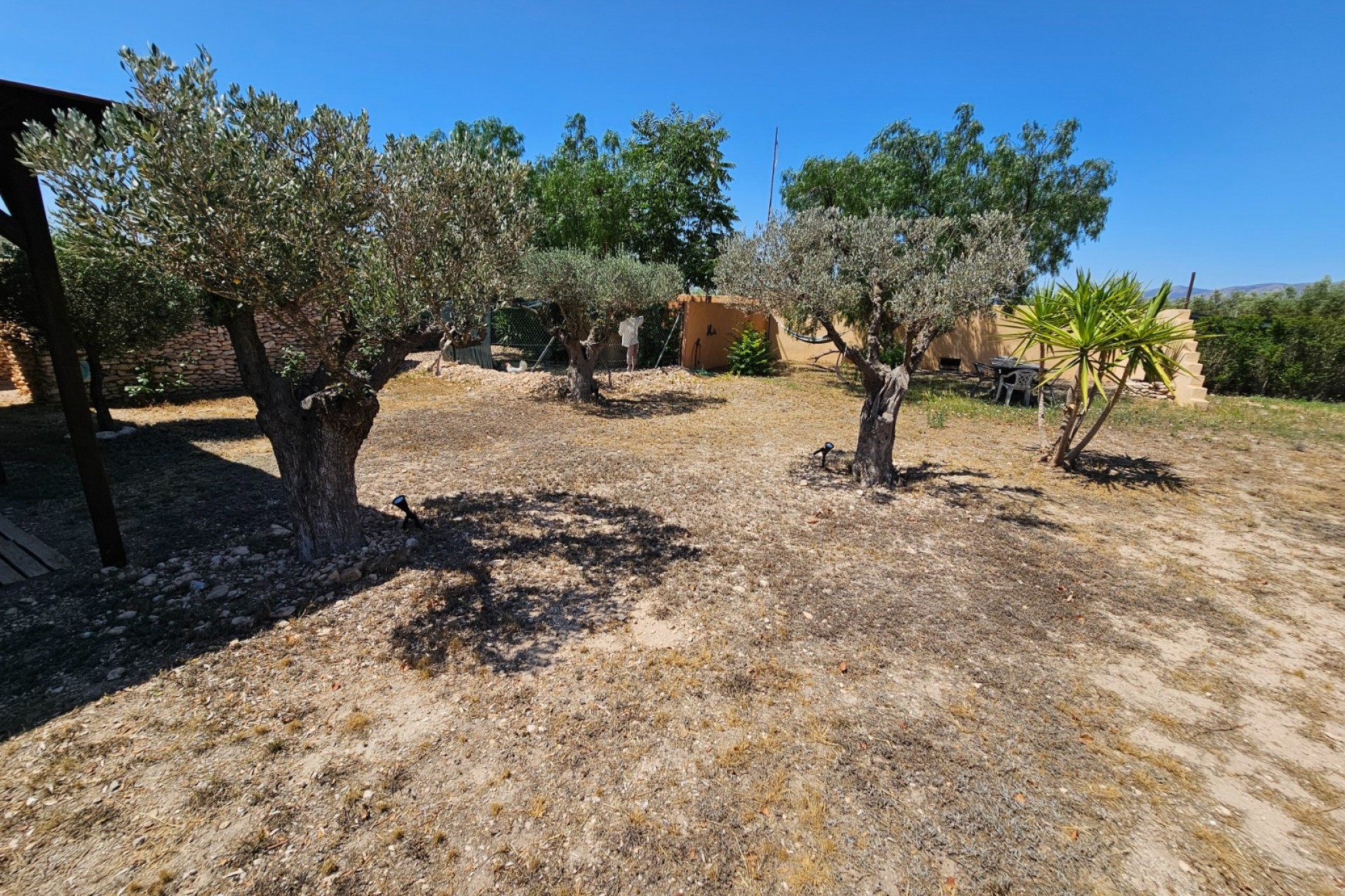Rynek Wtórny - Komercyjne -
Sax