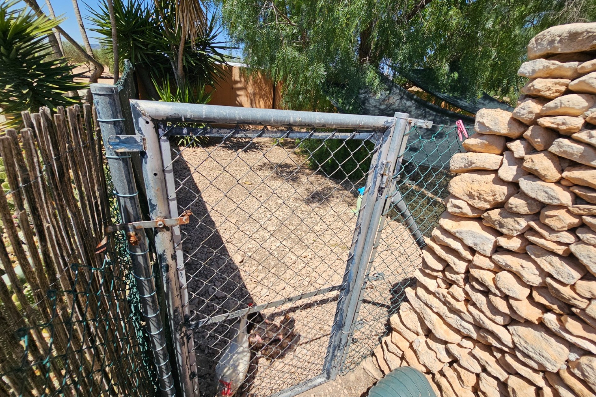 Rynek Wtórny - Komercyjne -
Sax