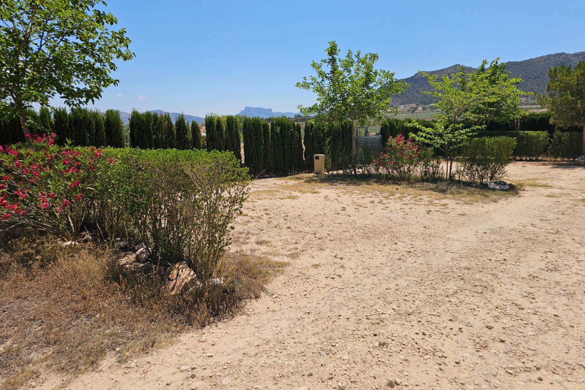 Rynek Wtórny - Komercyjne -
Sax