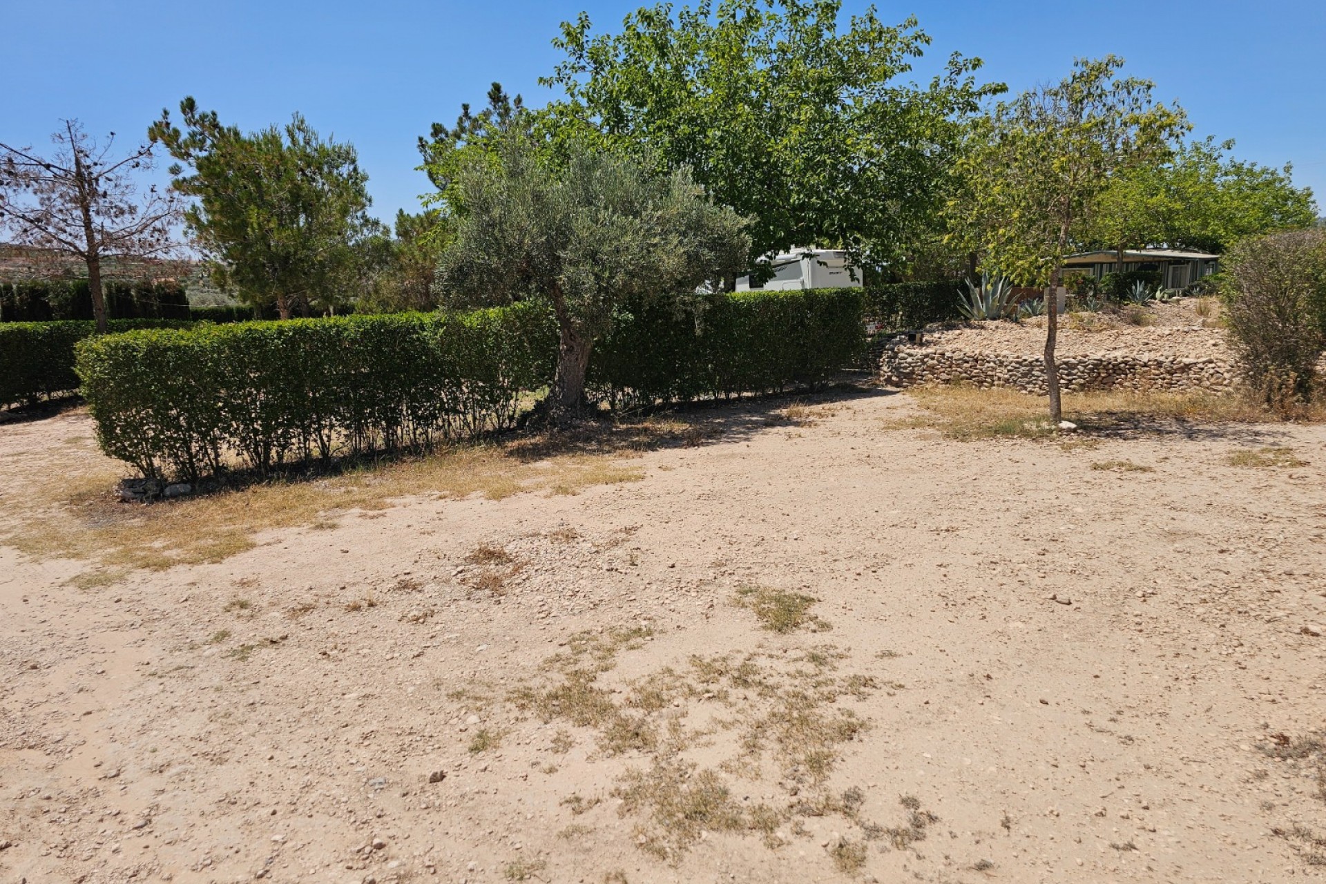 Rynek Wtórny - Komercyjne -
Sax