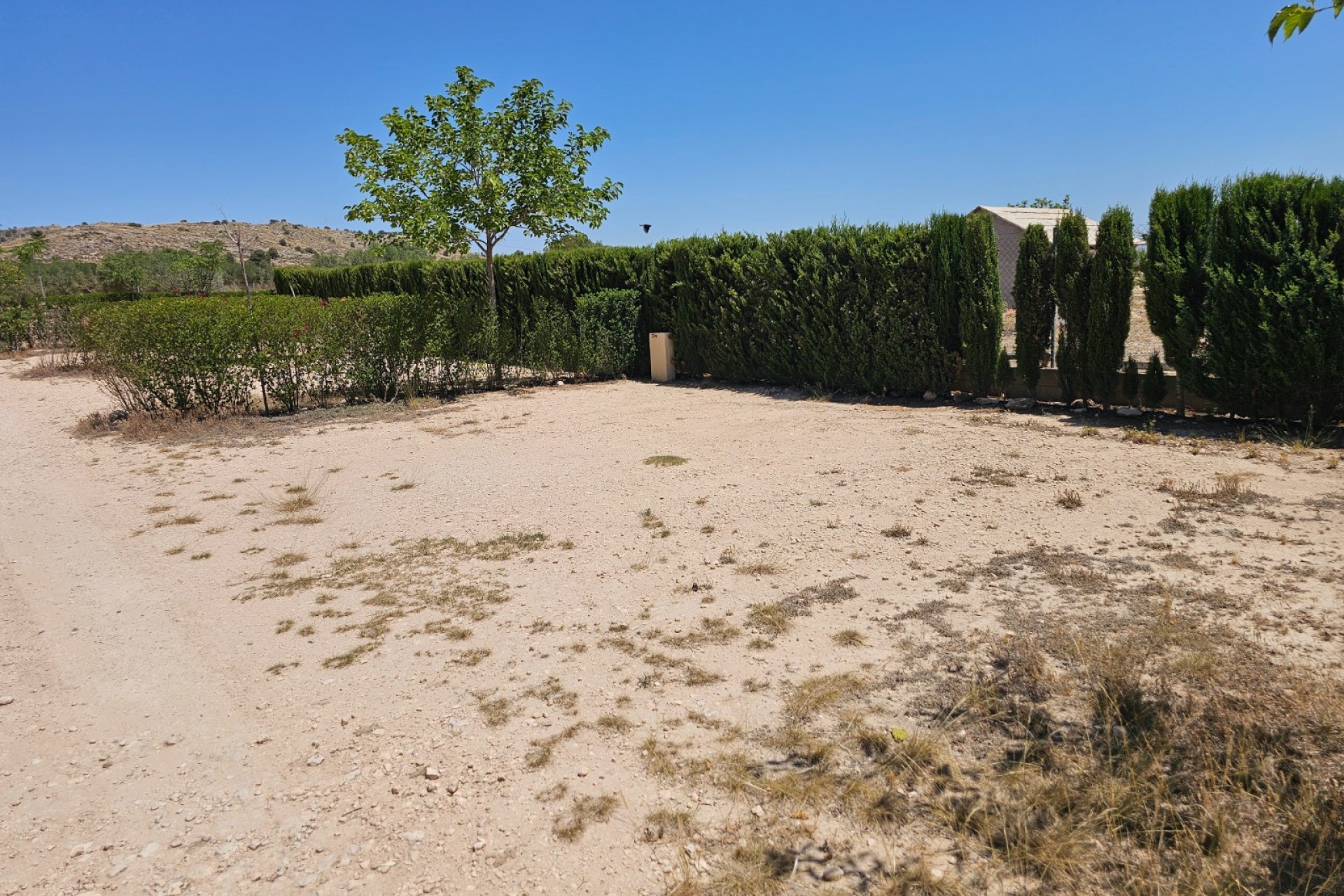 Rynek Wtórny - Komercyjne -
Sax