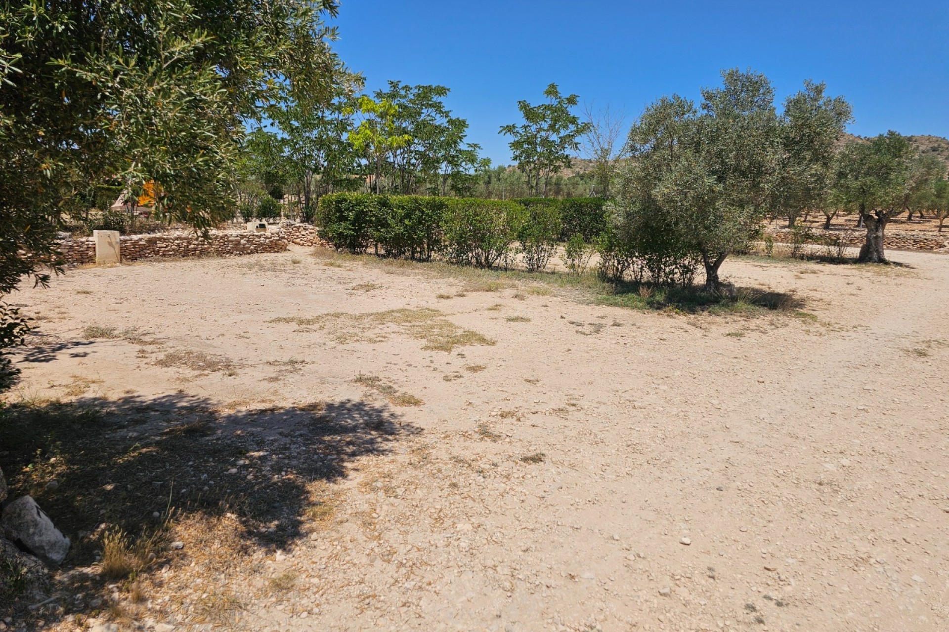 Rynek Wtórny - Komercyjne -
Sax
