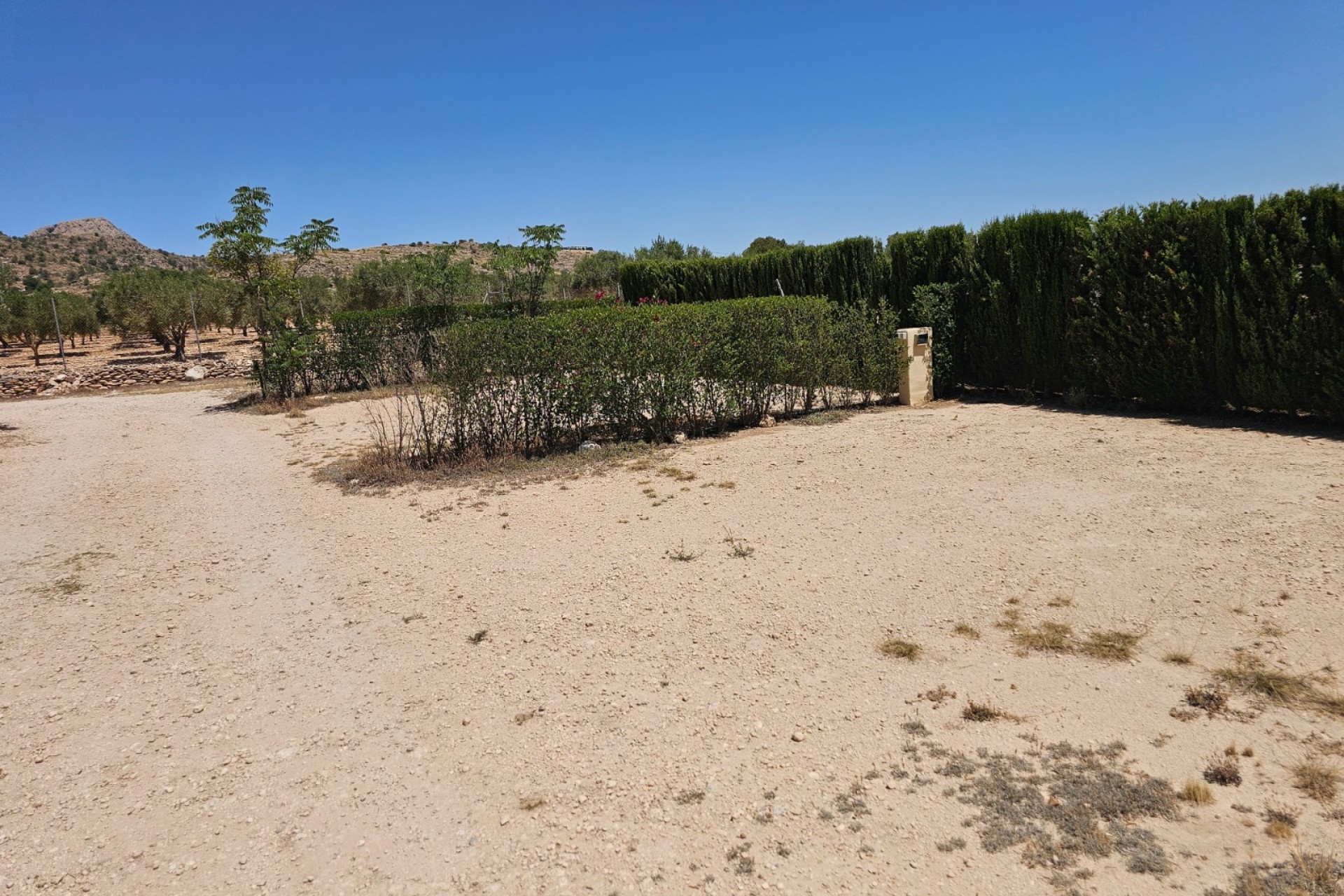 Rynek Wtórny - Komercyjne -
Sax