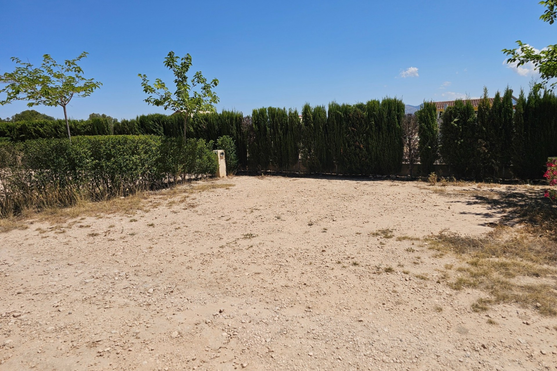 Rynek Wtórny - Komercyjne -
Sax