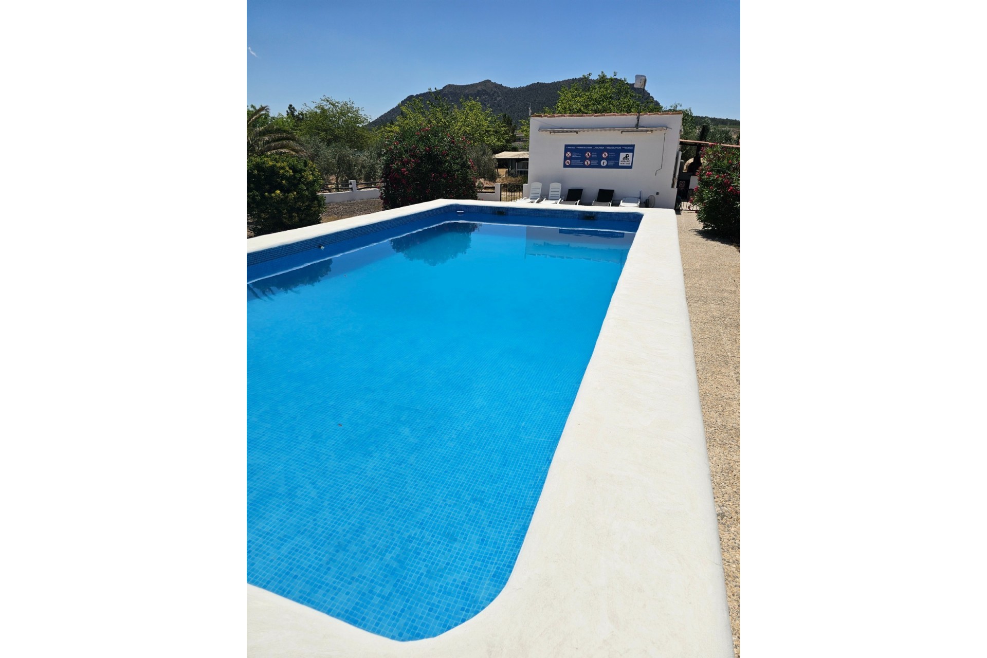 Rynek Wtórny - Komercyjne -
Sax