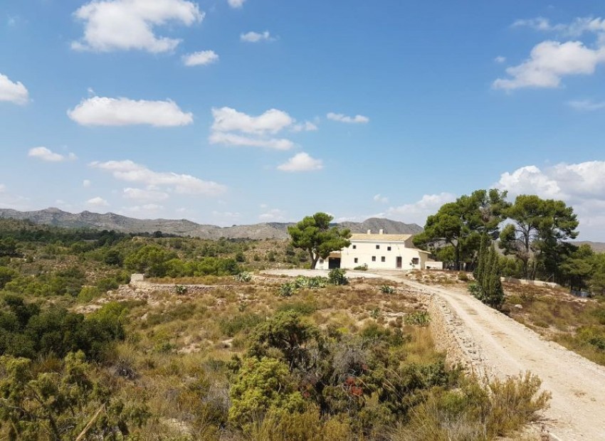 Rynek Wtórny -  -
Murcia