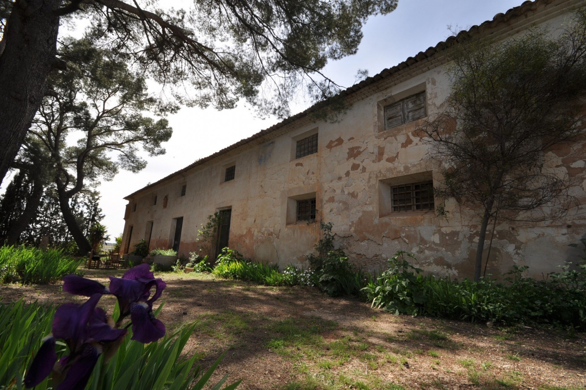 Rynek Wtórny -  -
Murcia