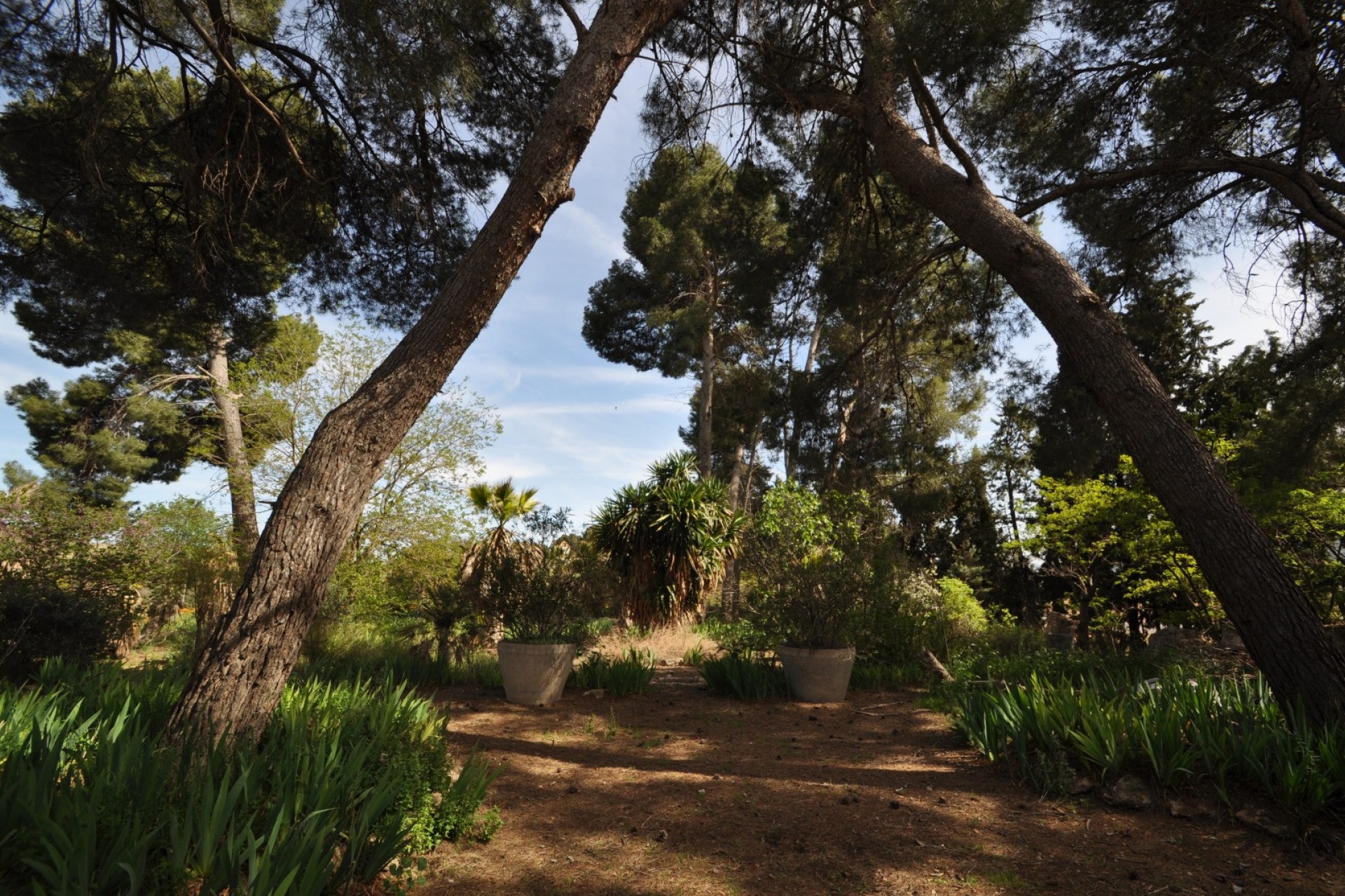 Rynek Wtórny -  -
Murcia