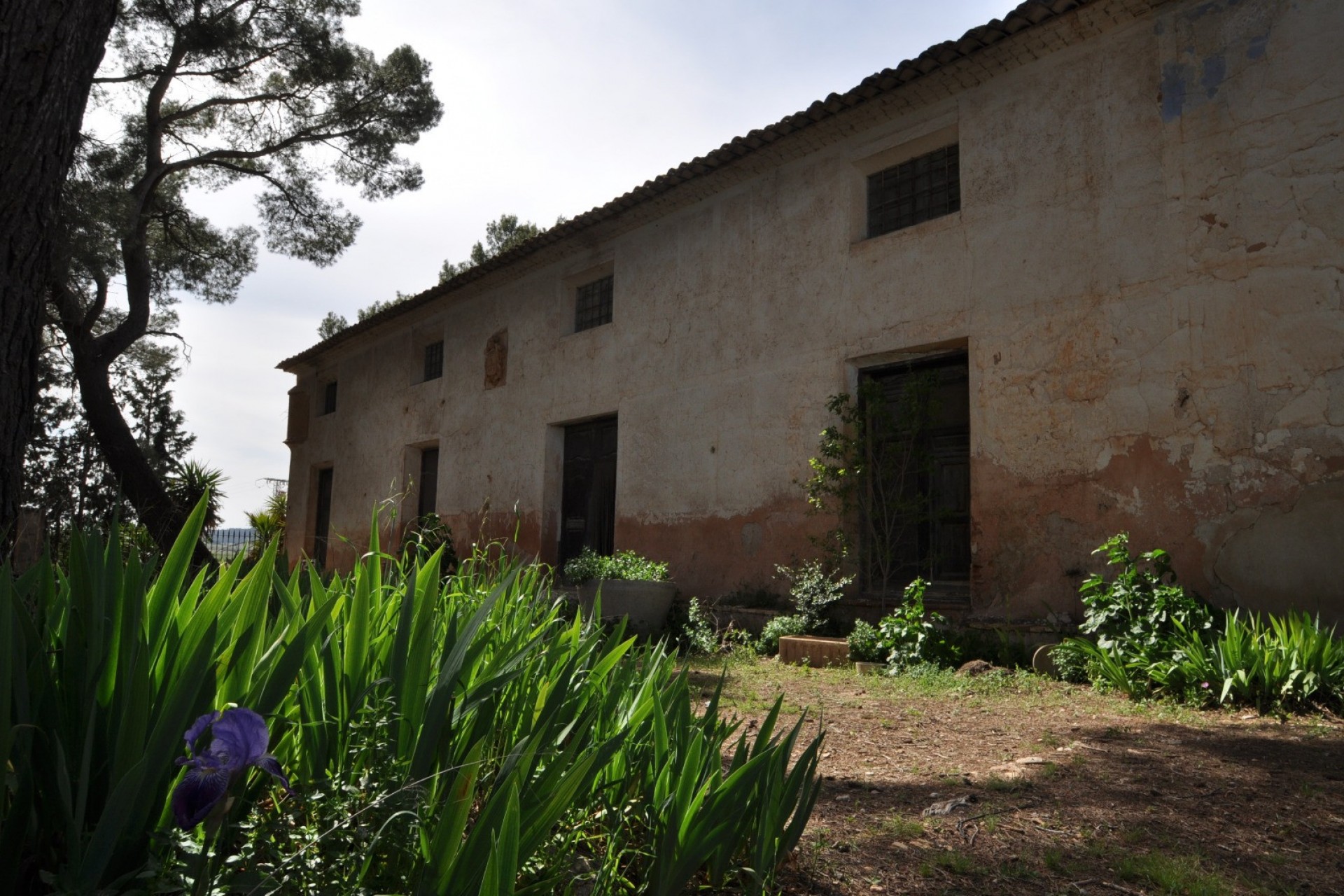Rynek Wtórny -  -
Murcia