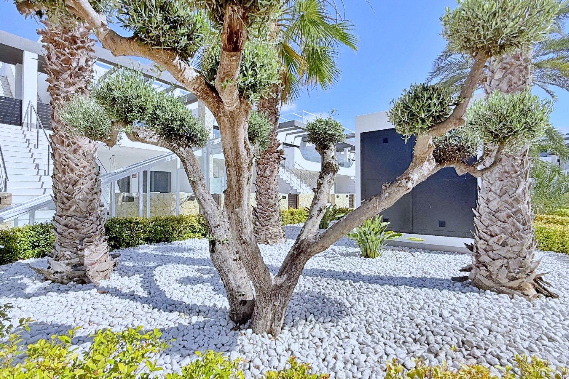 Rynek Wtórny - Penthouse -
Orihuela Costa - Punta Prima