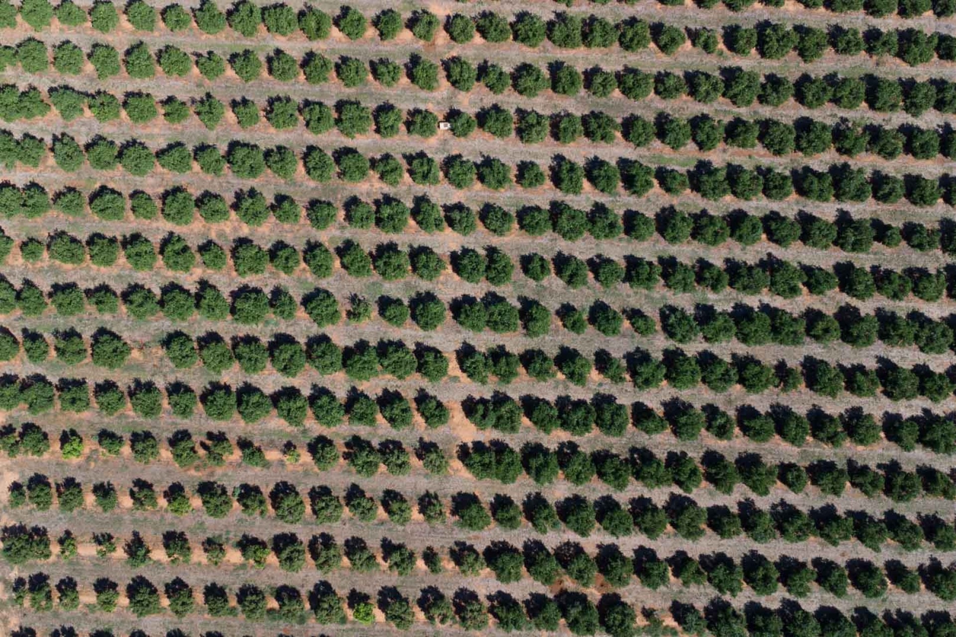 Rynek Wtórny - Willa -
Denia