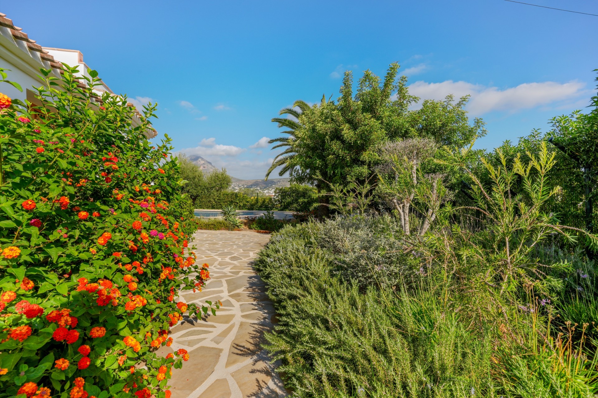 Rynek Wtórny - Willa -
Jávea / Xàbia - Partides comunes - Adsubia