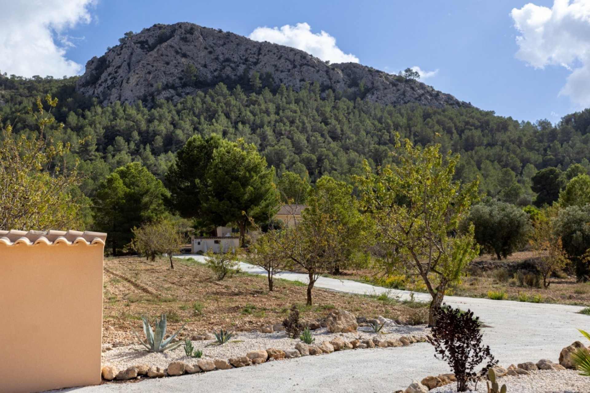 Rynek Wtórny - Willa -
La Zarza