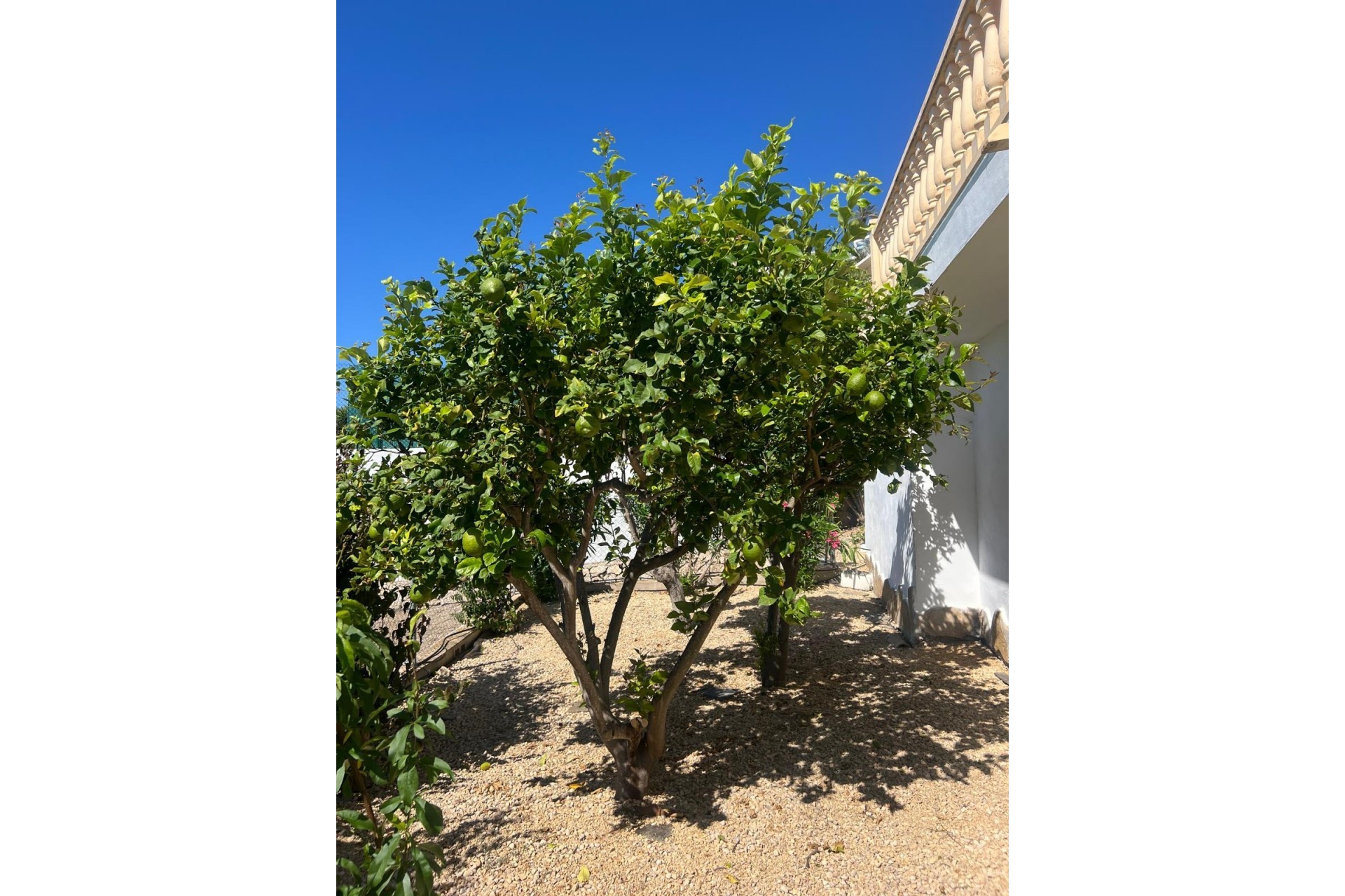 Rynek Wtórny - Willa -
Moraira - Pinar del Advocat - Cometa