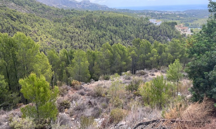Tracé - Revente - Altea - SE5172