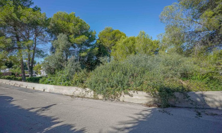 Tracé - Revente - Jávea - SE-86132