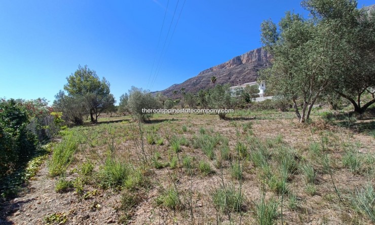 Tracé - Revente - Jávea / Xàbia - Montgó - Ermita