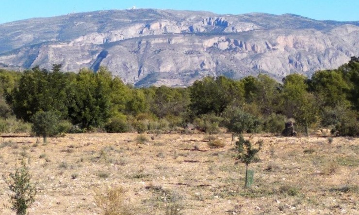 Tracé - Revente - Relleu - SE5210