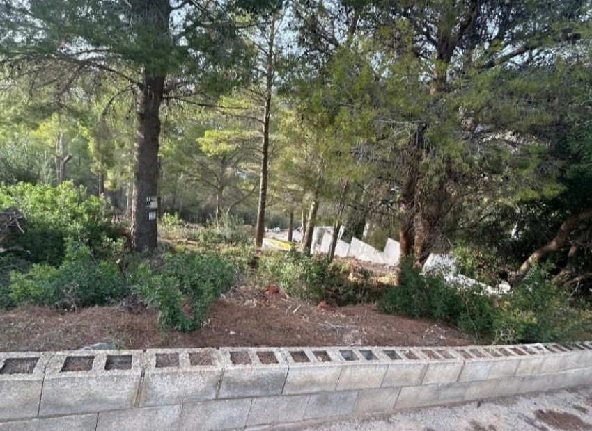 Wiederverkauf -  -
Altea - La Vieja