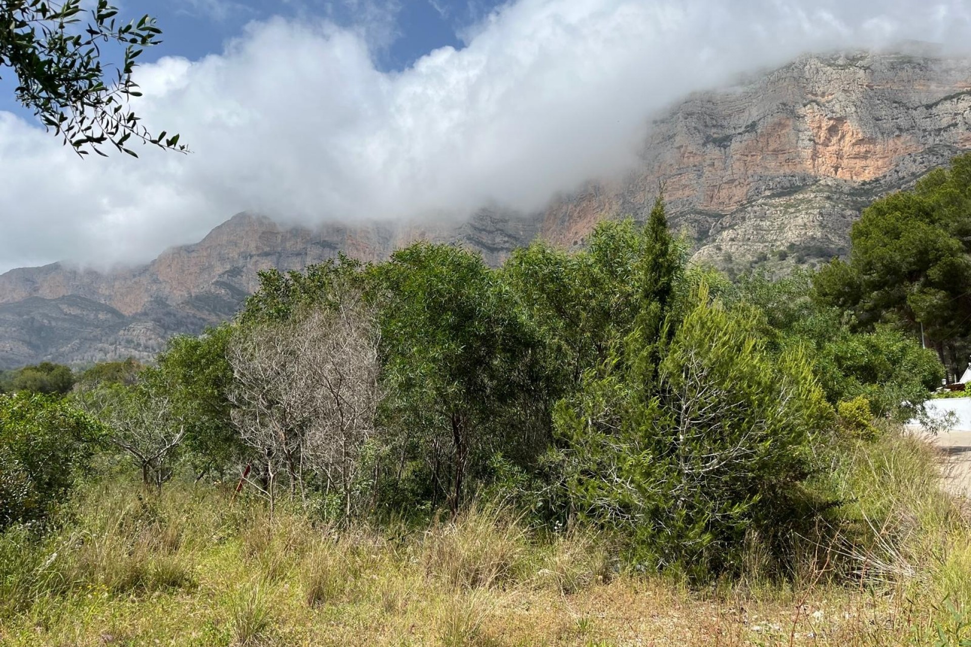 Wiederverkauf - Bauland -
Jávea / Xàbia - Montgó - Ermita