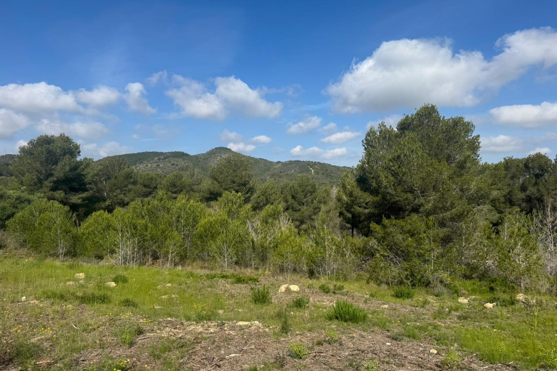 Wiederverkauf - Bauland -
Jávea / Xàbia - Partides comunes - Adsubia