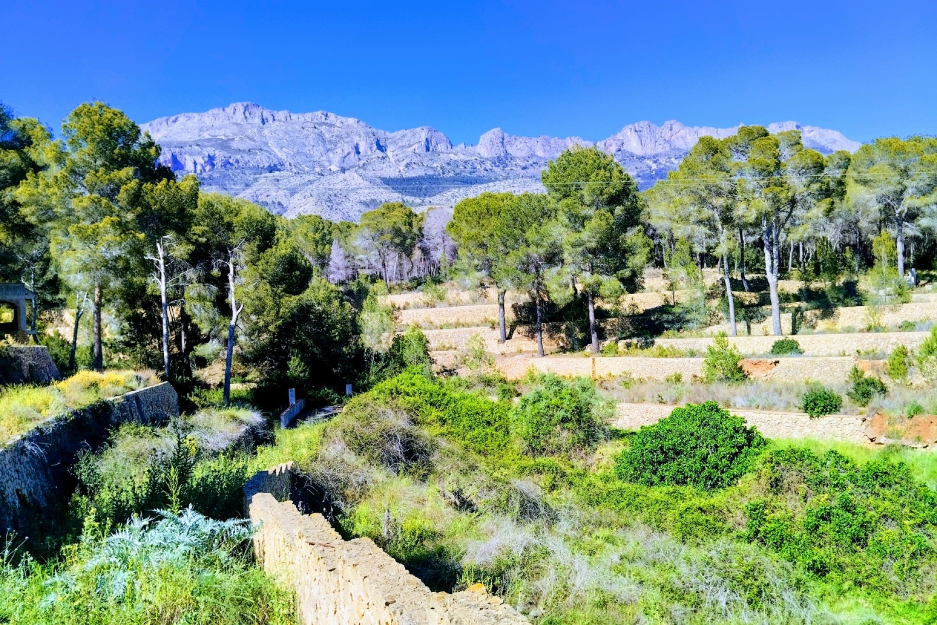 Wiederverkauf - Finca -
Altea - Altea La Vella