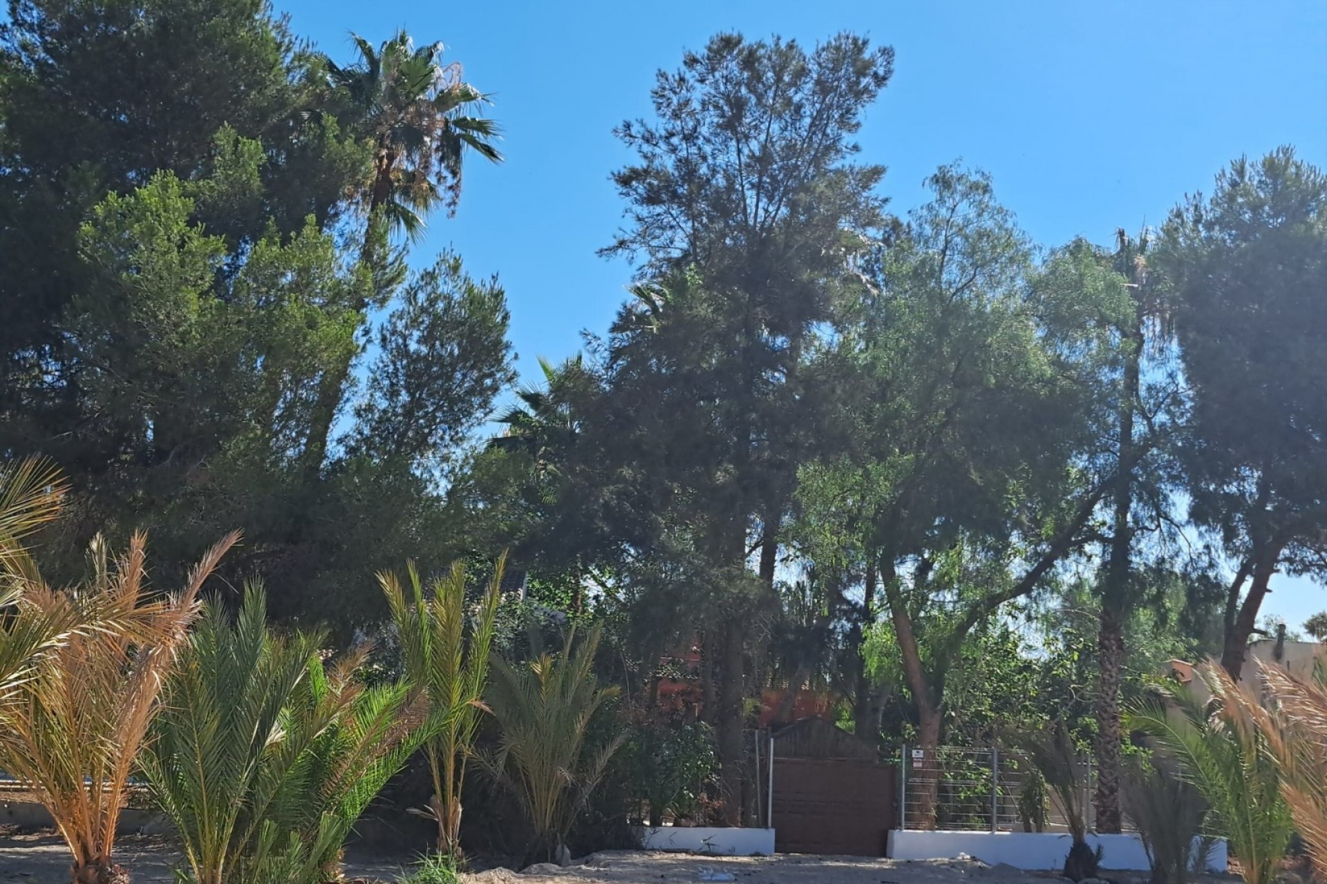 Wiederverkauf - Finca -
Orihuela