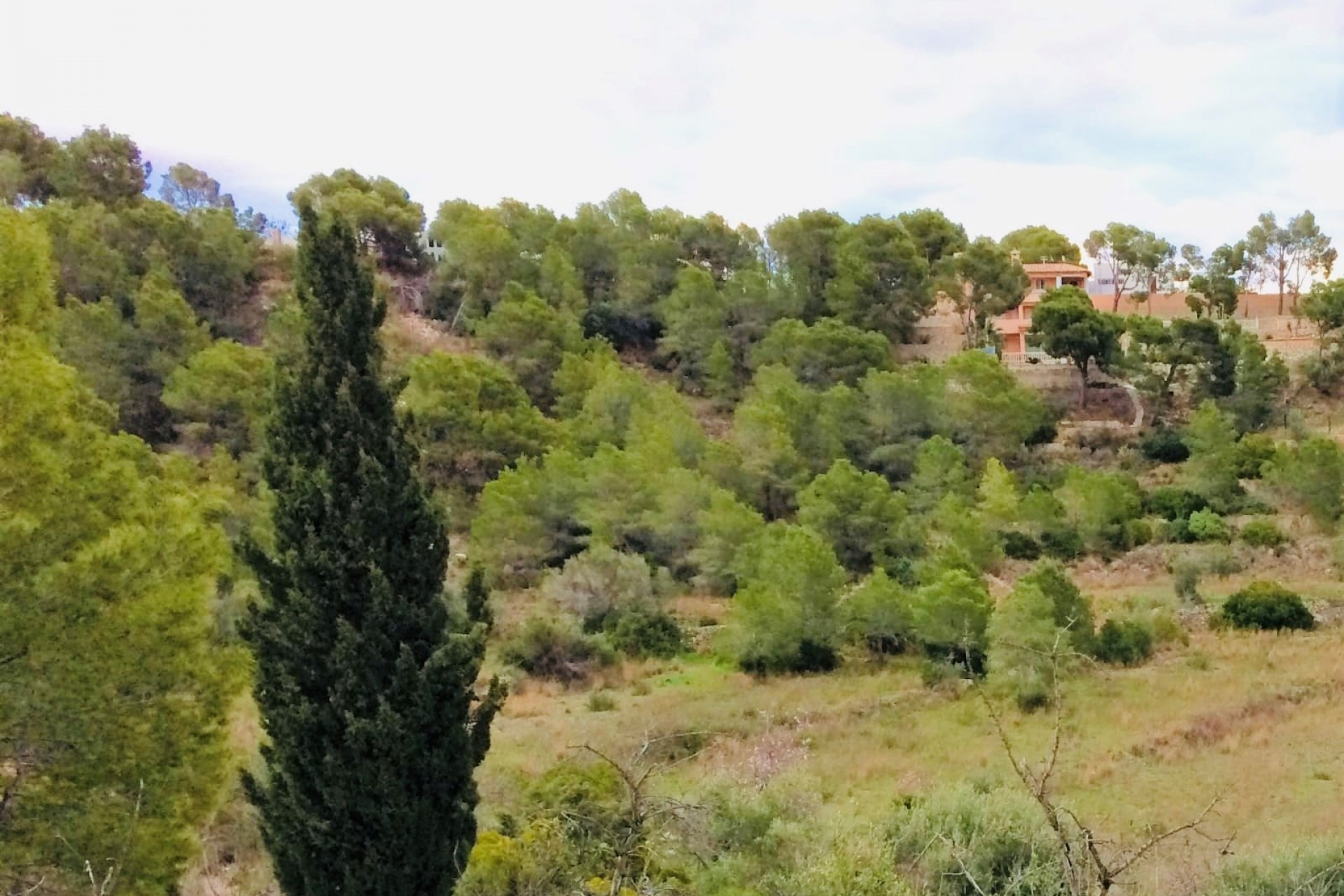 Wiederverkauf - Grundstücke -
Altea la Vella - Altea