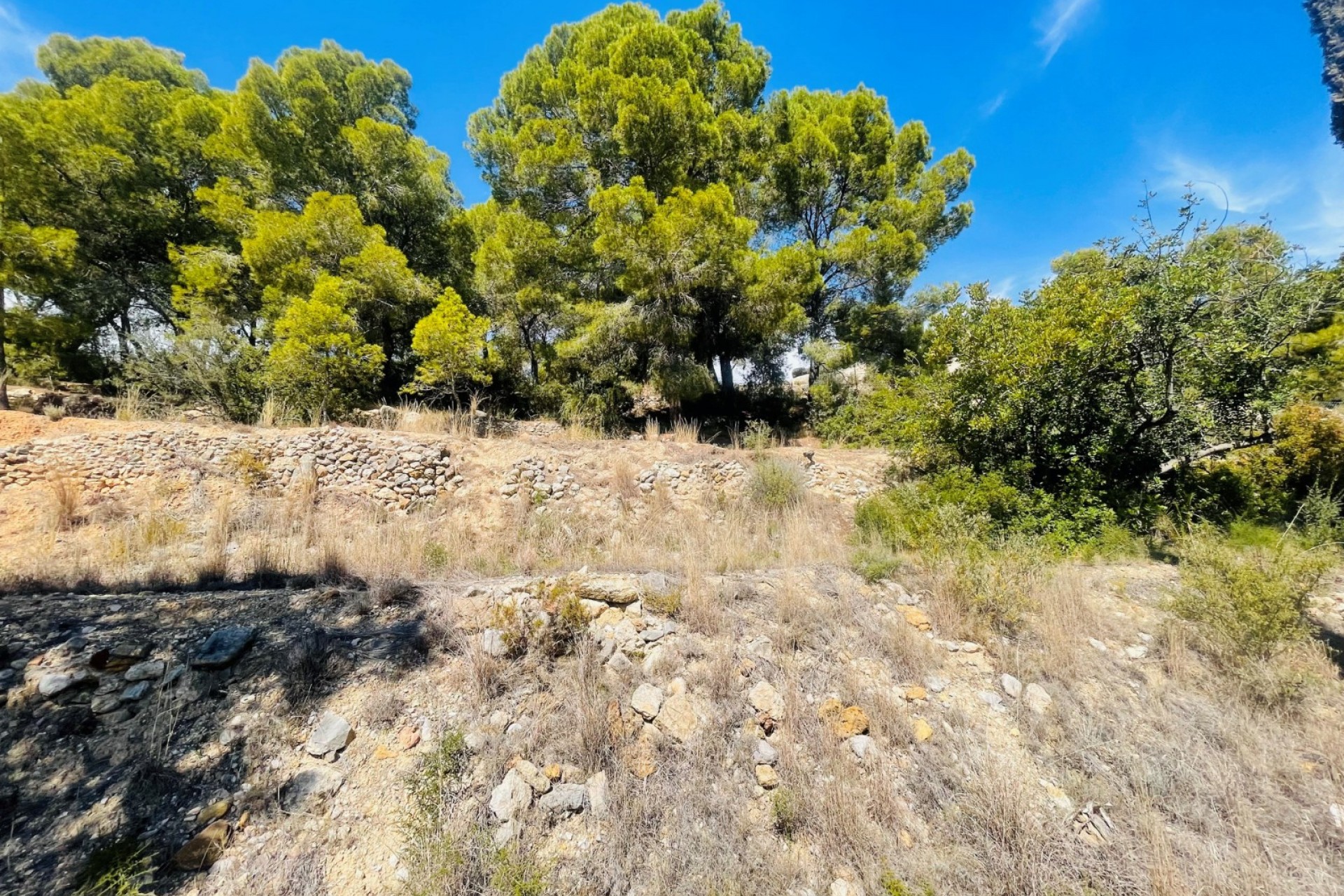 Wiederverkauf - Grundstücke -
Altea la Vella - Altea