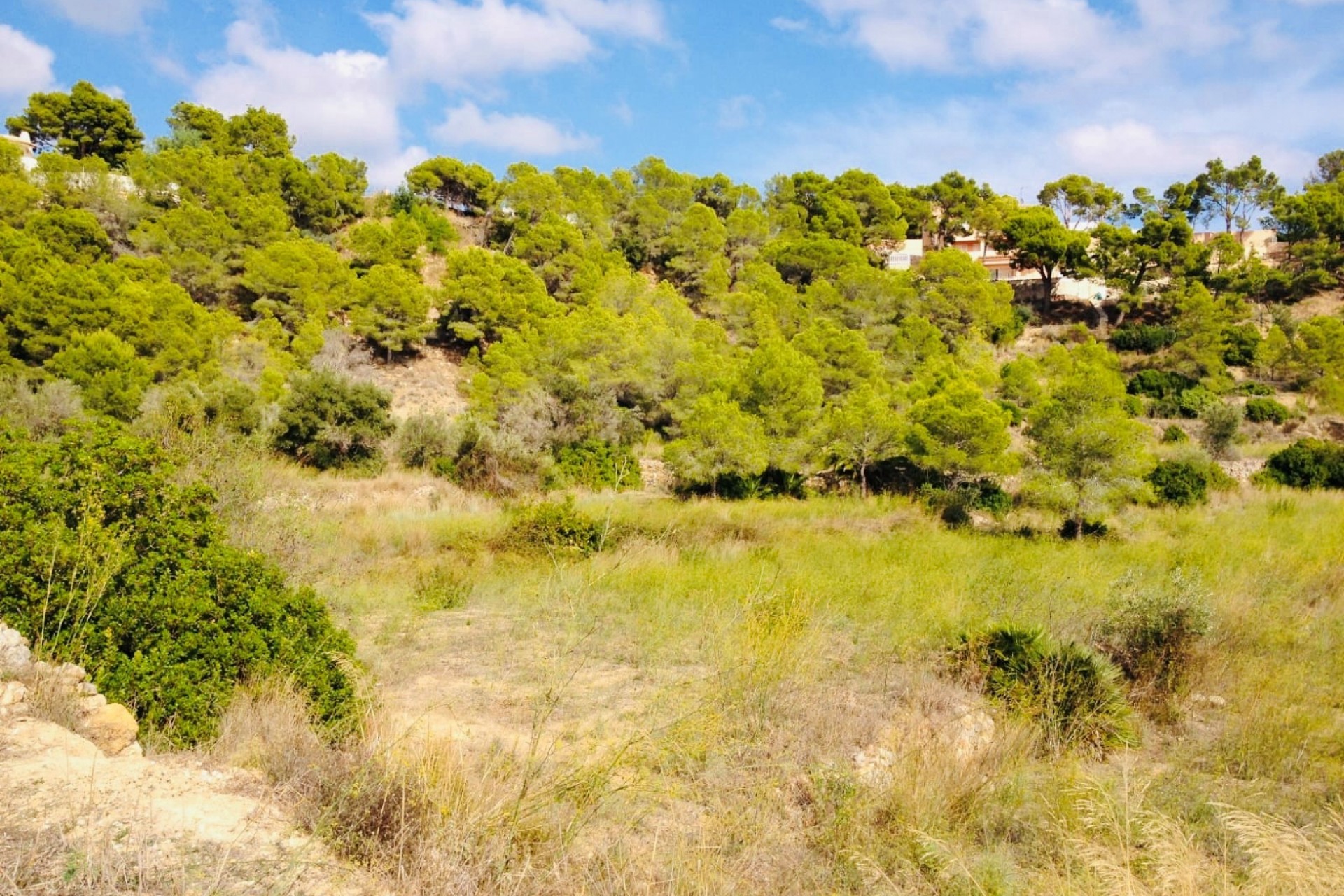 Wiederverkauf - Grundstücke -
Altea la Vella - Altea