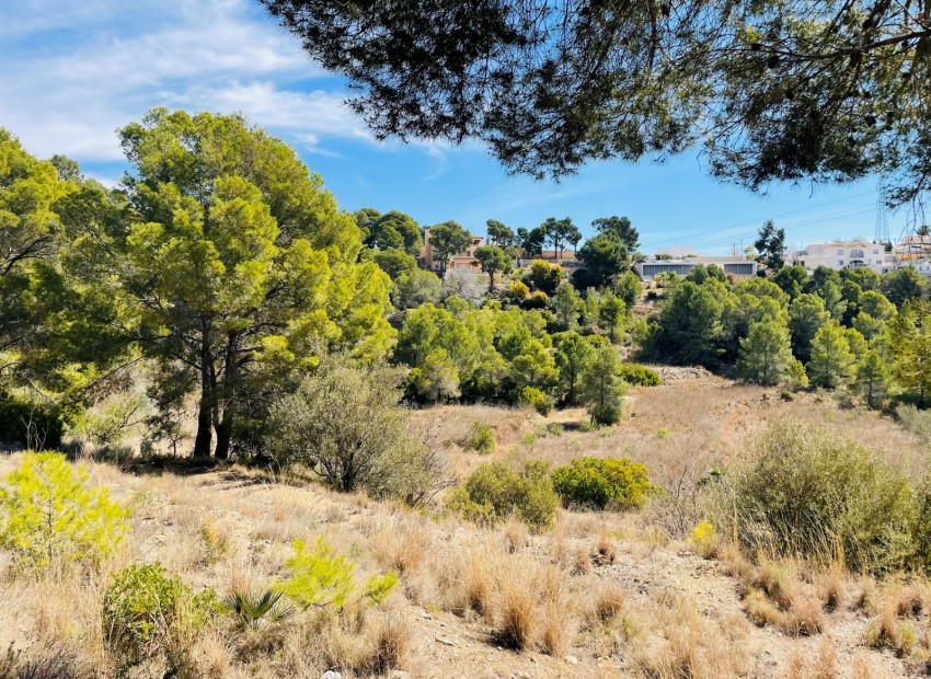 Wiederverkauf - Grundstücke -
Altea la Vella - Altea