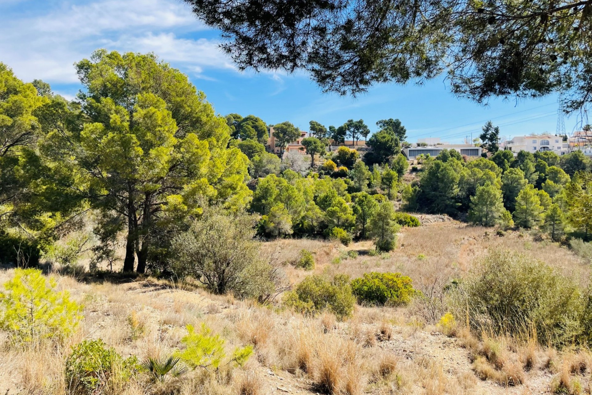 Wiederverkauf - Grundstücke -
Altea la Vella - Altea