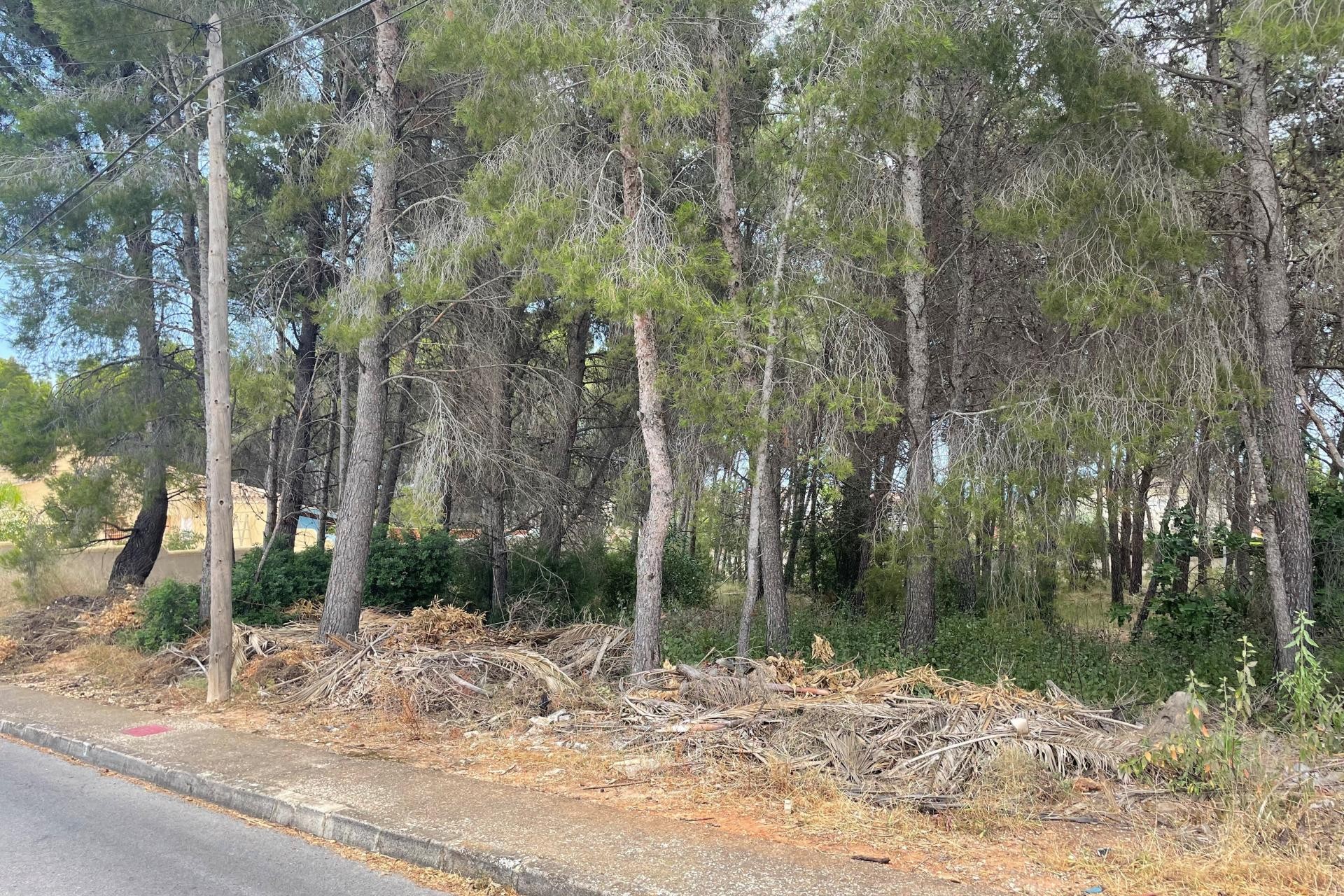 Wiederverkauf - Grundstücke -
Altea la Vella