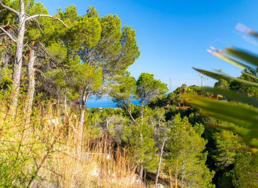 Wiederverkauf - Grundstücke -
Altea
