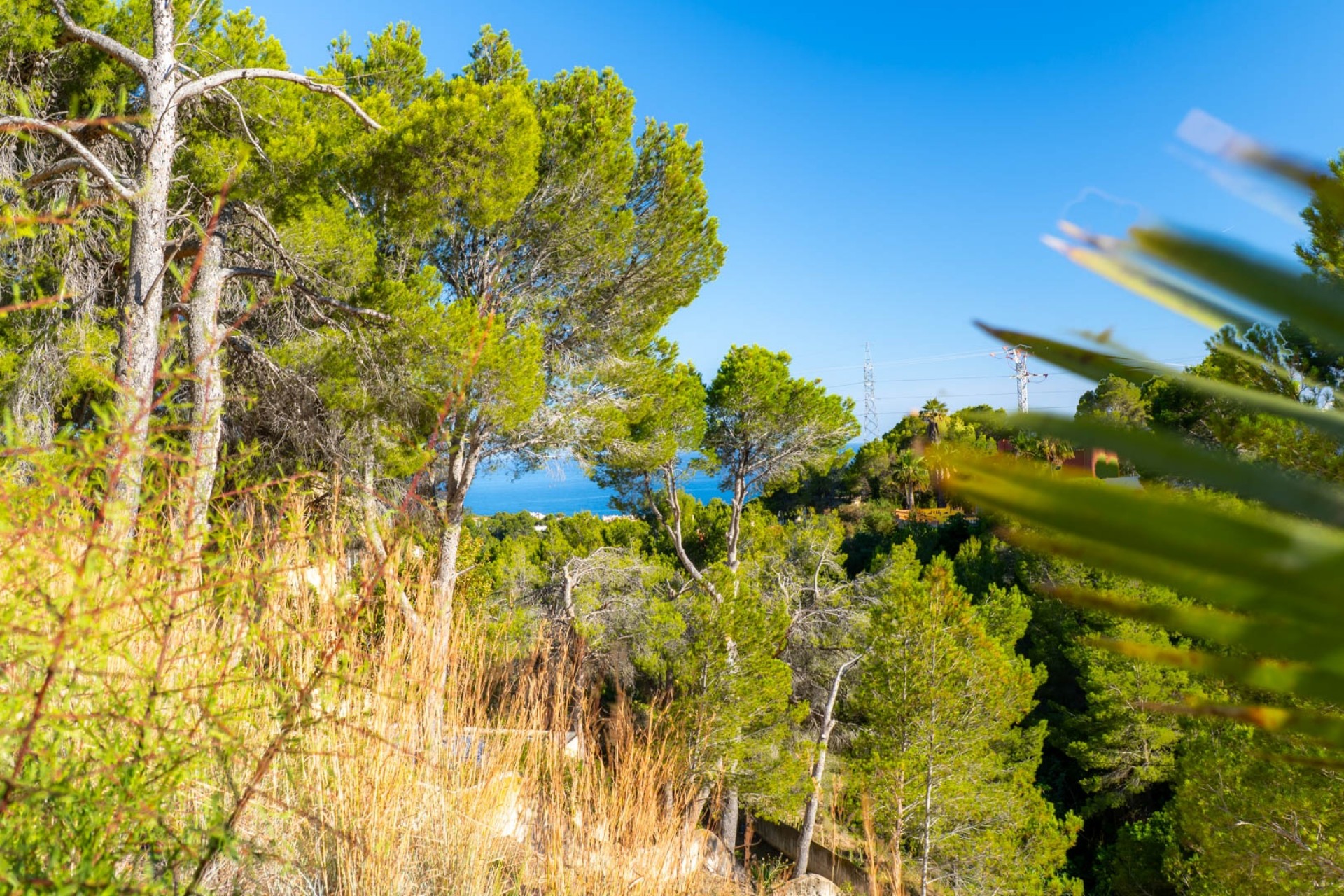 Wiederverkauf - Grundstücke -
Altea