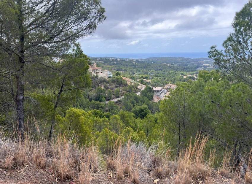Wiederverkauf - Grundstücke -
Altea