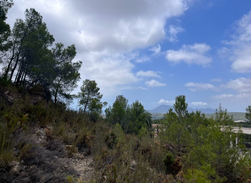 Wiederverkauf - Grundstücke -
Altea