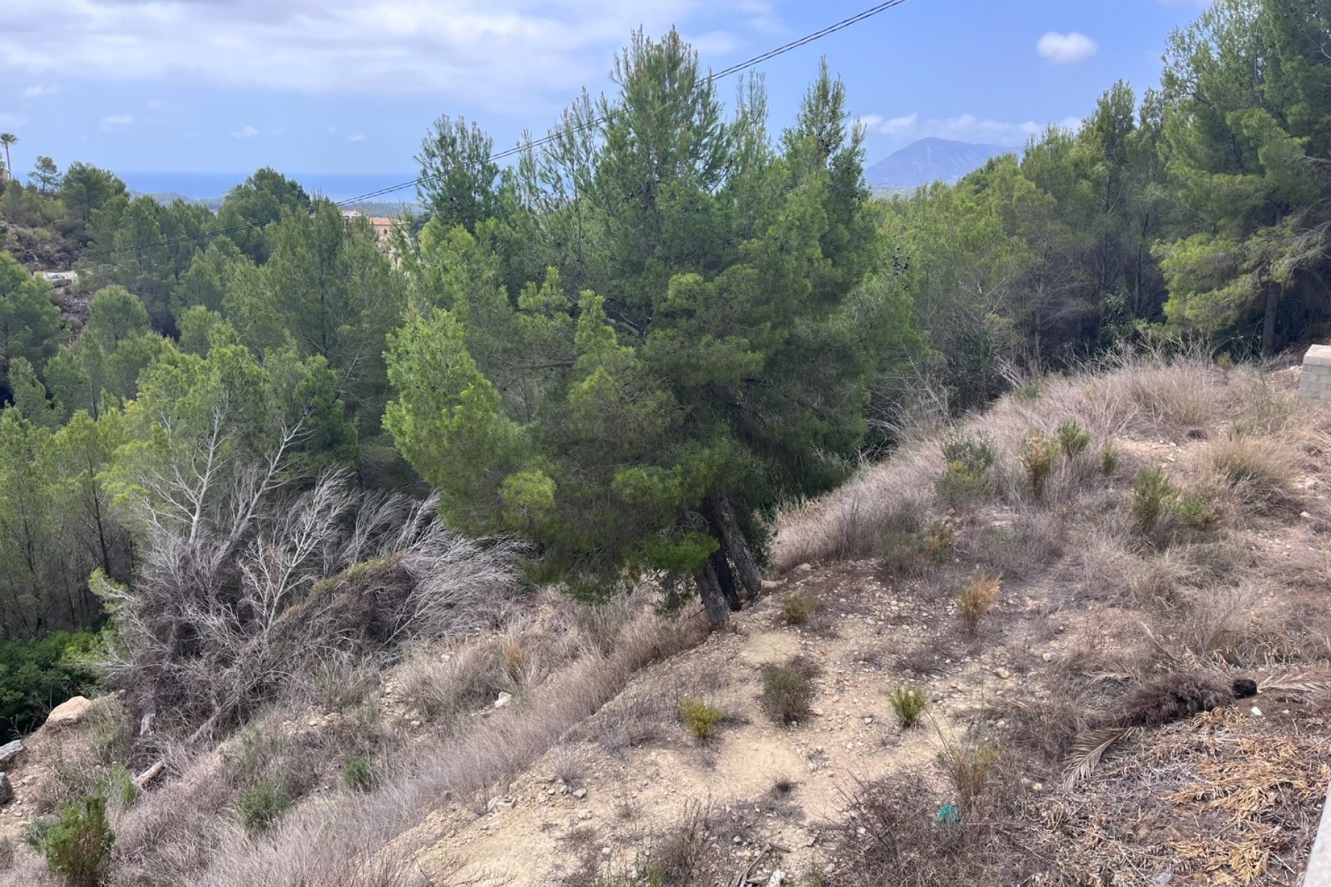 Wiederverkauf - Grundstücke -
Altea