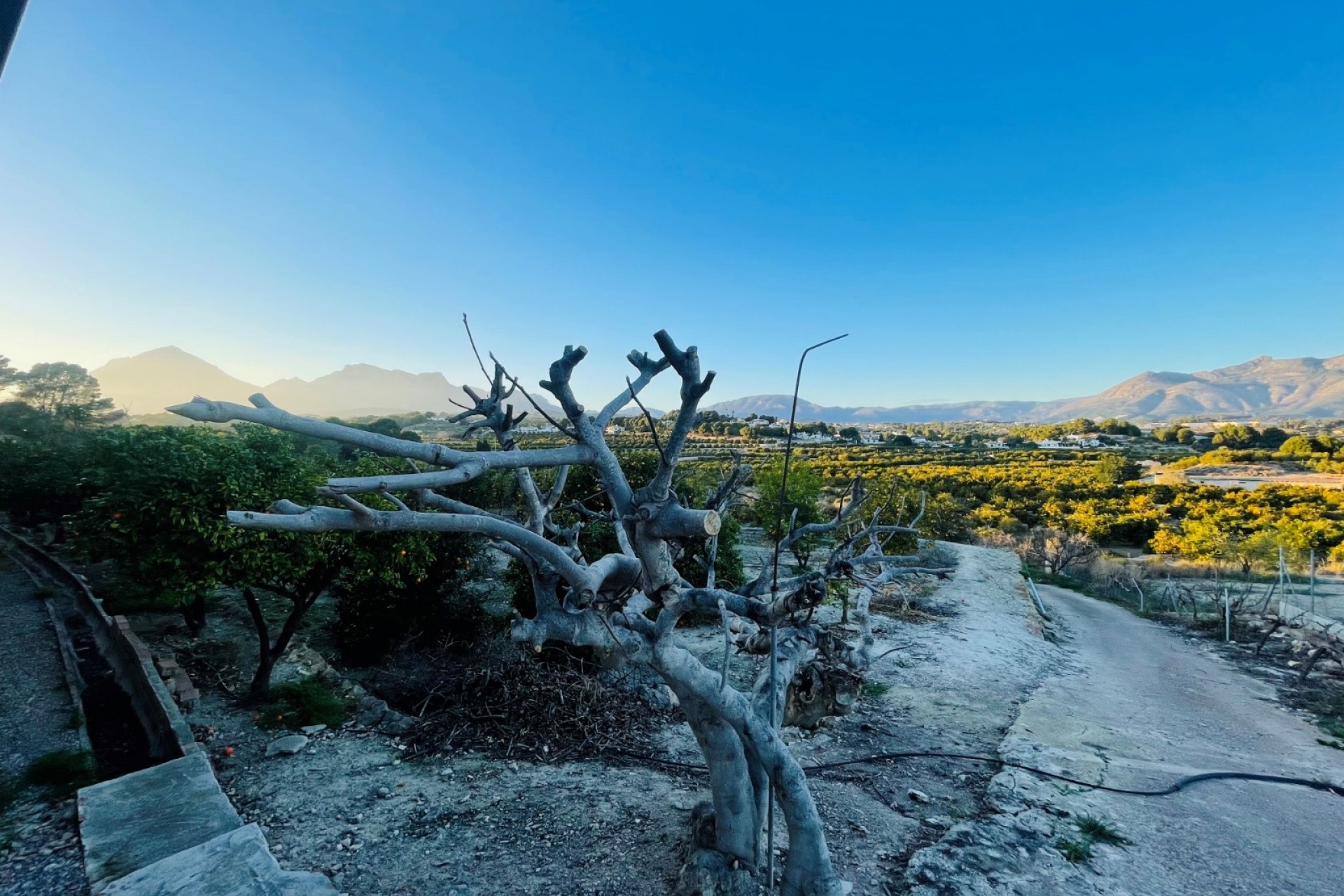 Wiederverkauf - Grundstücke -
Altea