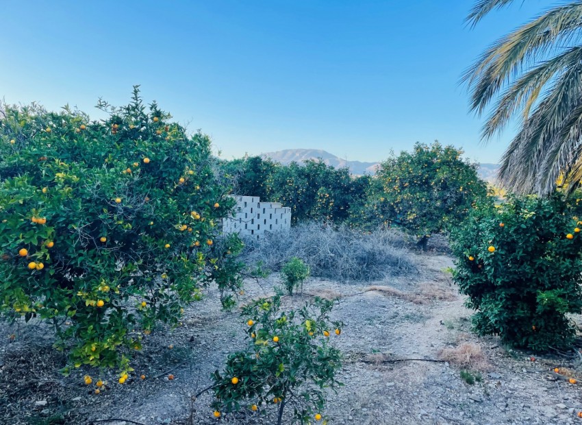 Wiederverkauf - Grundstücke -
Altea