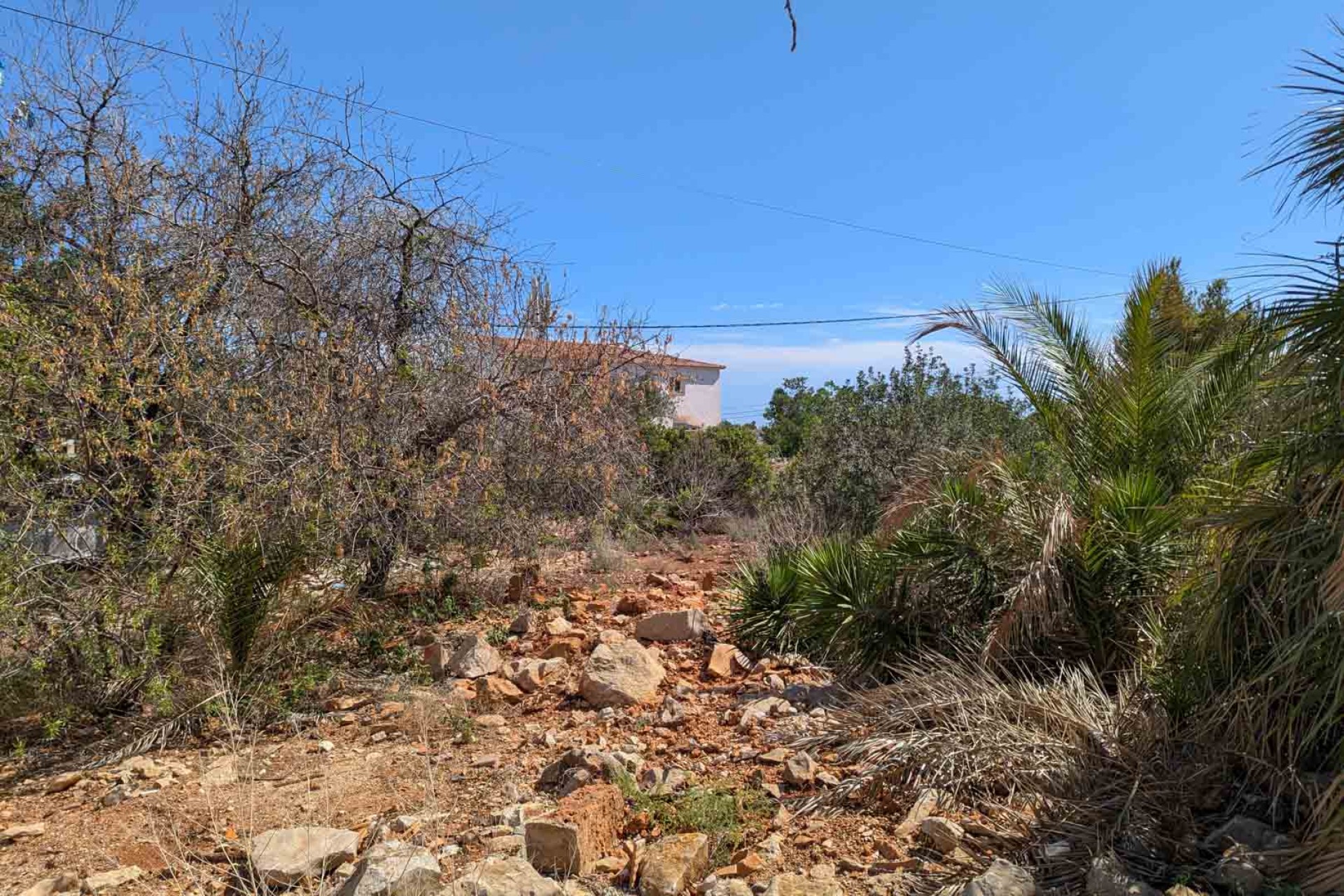 Wiederverkauf - Grundstücke -
Denia - Corral de Calafat