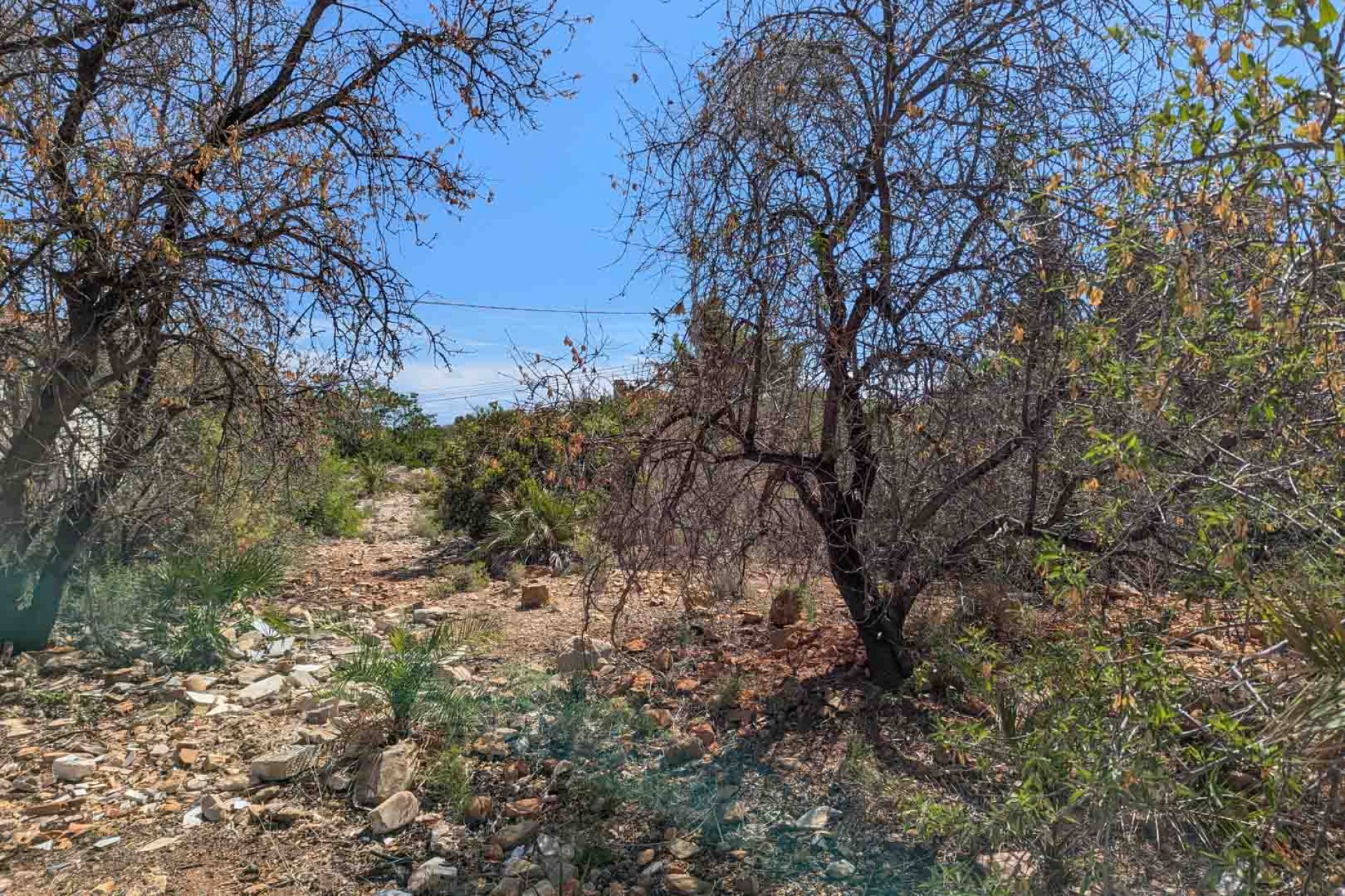 Wiederverkauf - Grundstücke -
Denia - Corral de Calafat