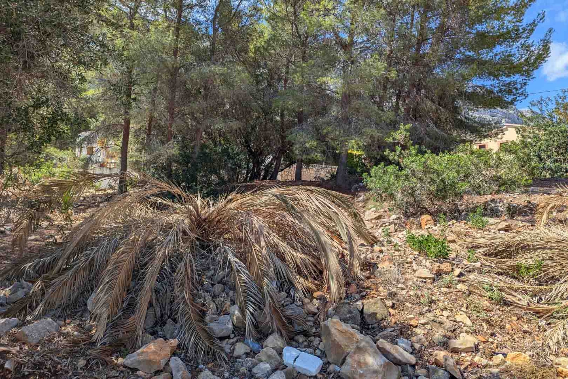 Wiederverkauf - Grundstücke -
Denia - Don Quijote