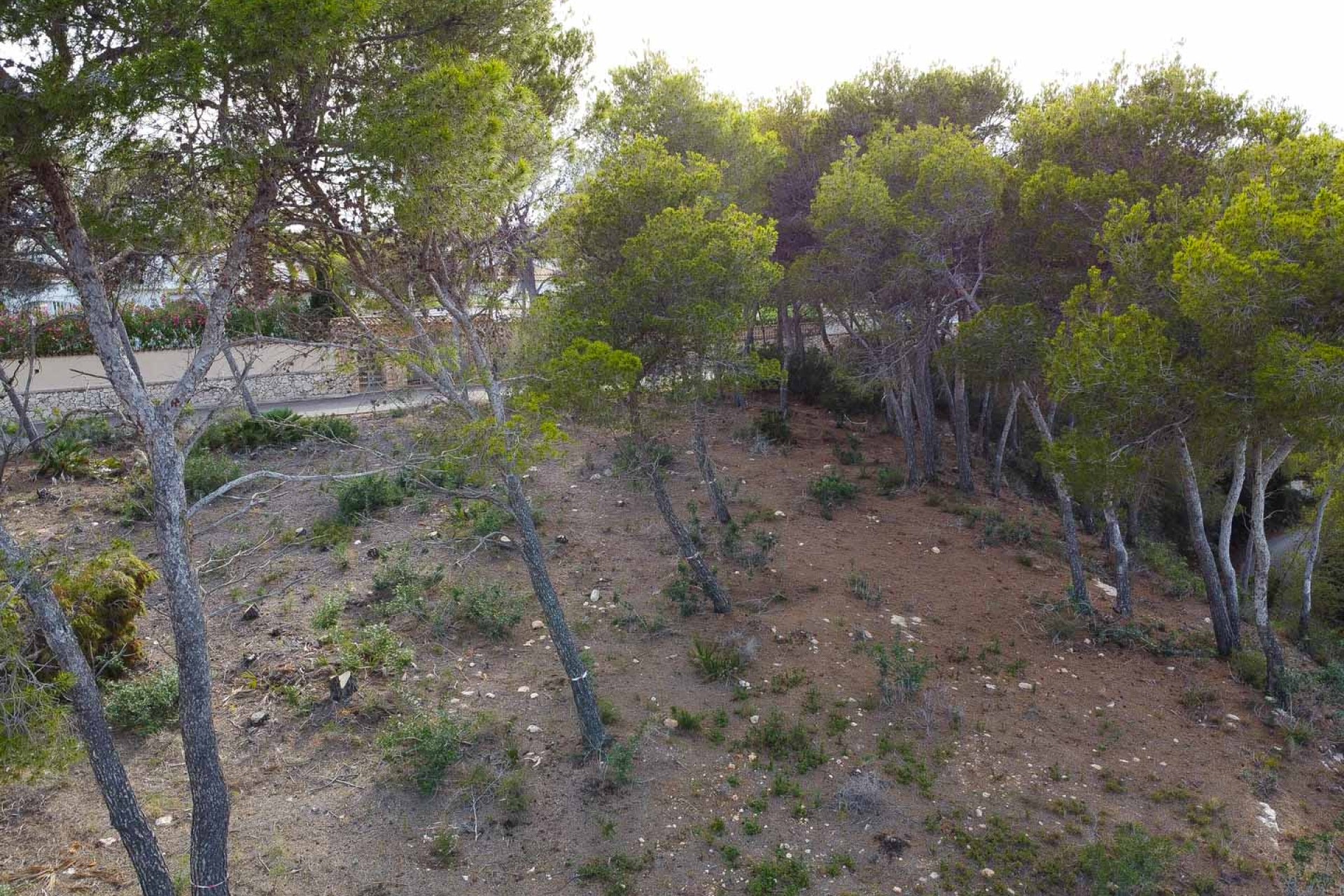 Wiederverkauf - Grundstücke -
Jávea - Balcon al Mar